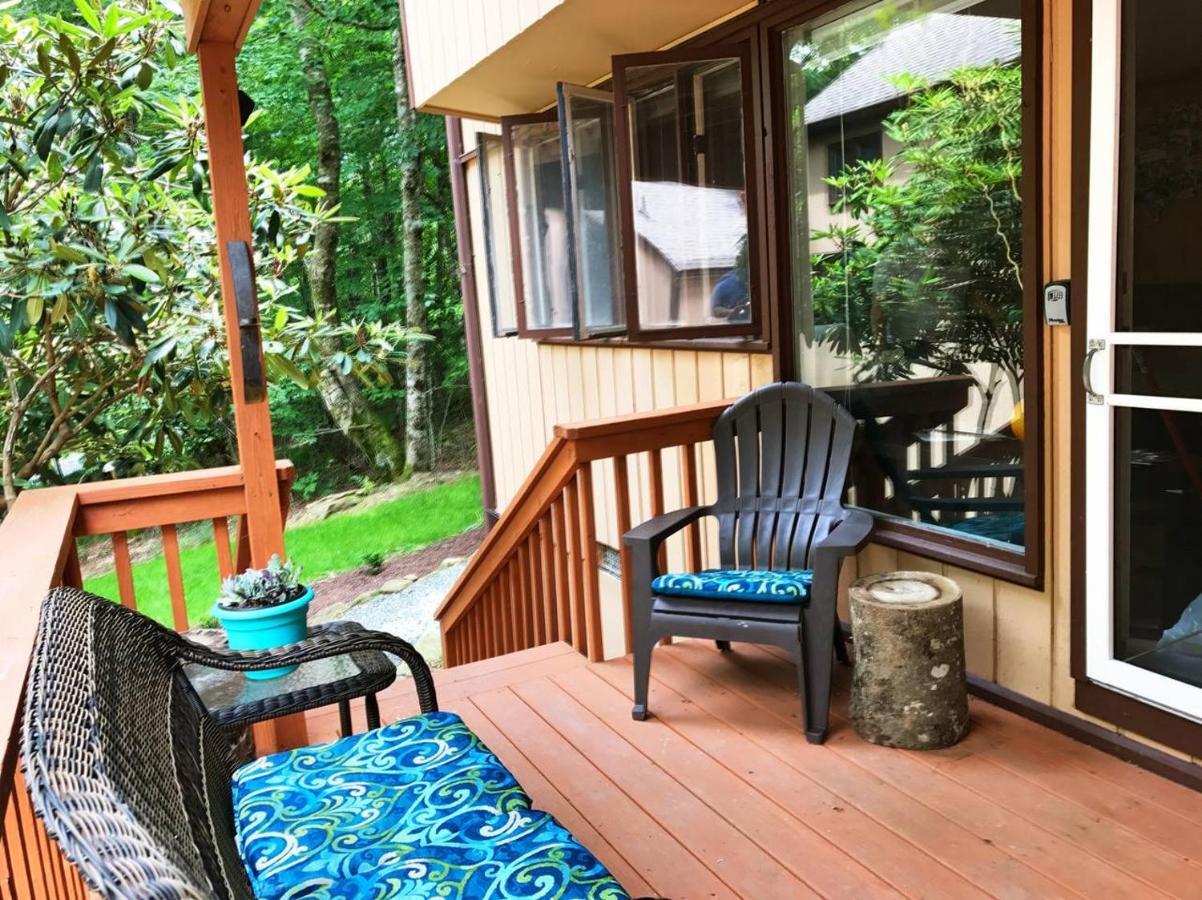 شقة بيتش ماونتن  في Beech Mtn Hideaway المظهر الخارجي الصورة